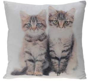 Poduszka Cats 45x45 cm- wzór 1