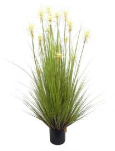 Miloo :: Trawa pionowa Sunny Flower 140 cm - 140 cm || 140 cm; donica 17 cm