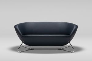 Sofa Only
