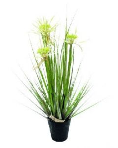 Miloo :: Trawa pionowa Sunny Flower 55cm - 55cm || 55 cm; donica 10 cm