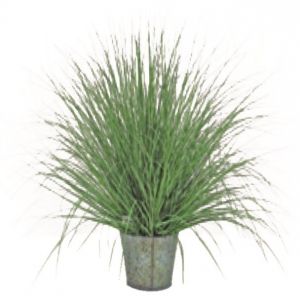 Miloo :: Trawa okrągła Natural 50cm - 50cm || wys. 50CM DONICA 15CM