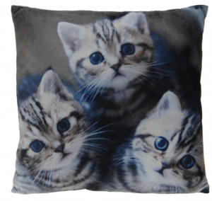 Poduszka Cats 45x45 cm- wzór 3