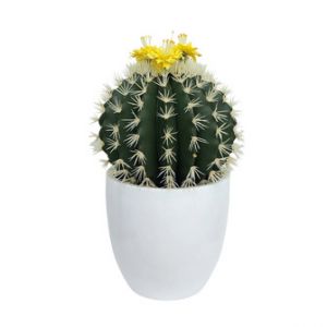 Miloo :: Kaktus w donicy 76cm
