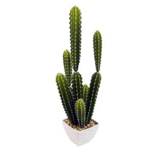 Miloo :: Kaktus w donicy 68cm